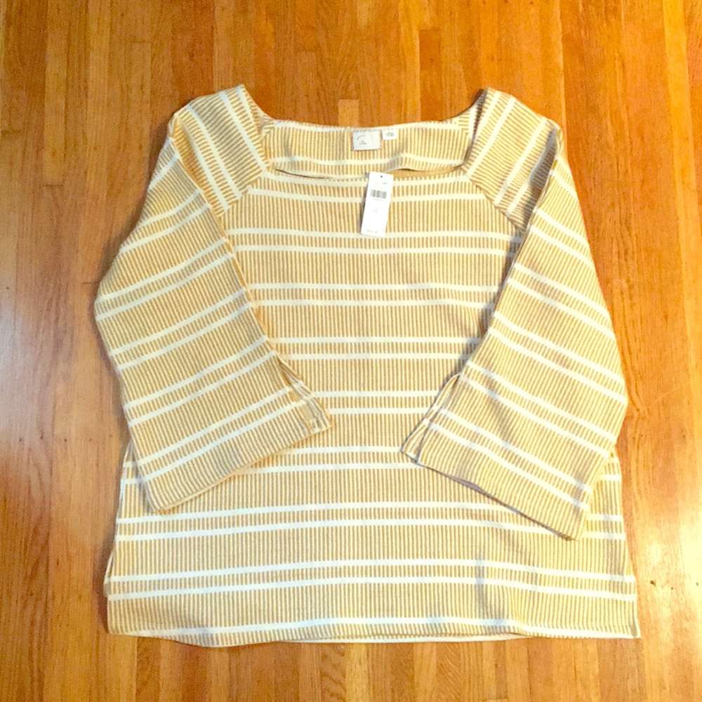 Anthropologie Top
